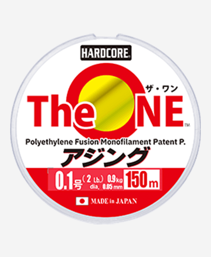 THE ONE 아징